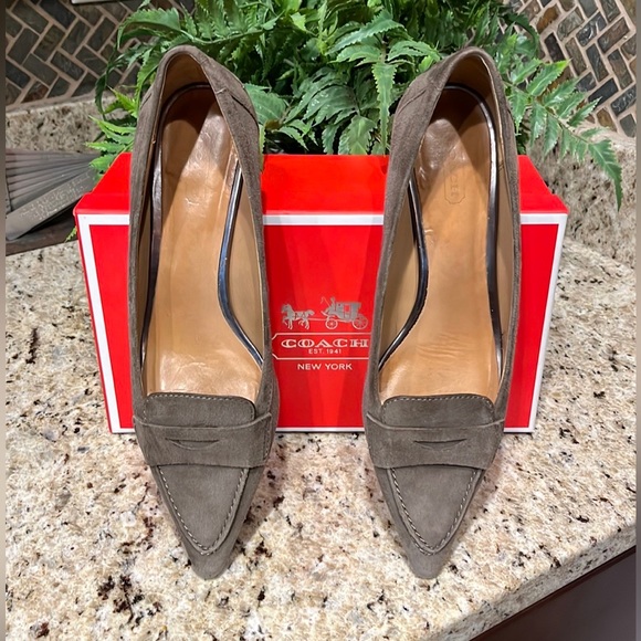 Coach Winnie Feathered Grey Suede Pointed Toe Kitten Heels - Picture 1 of 16